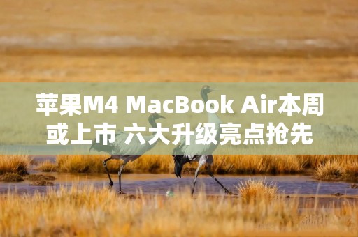 苹果M4 MacBook Air本周或上市 六大升级亮点抢先看