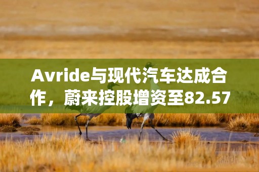 Avride与现代汽车达成合作，蔚来控股增资至82.57亿元 | 汽车早参