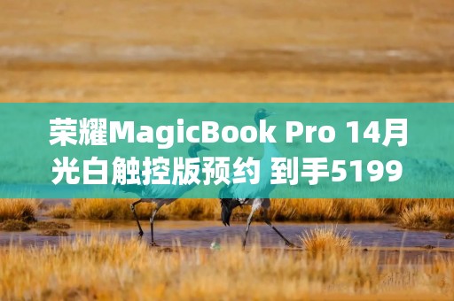 荣耀MagicBook Pro 14月光白触控版预约 到手5199元起