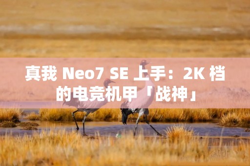 真我 Neo7 SE 上手：2K 档的电竞机甲「战神」