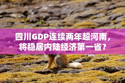 四川GDP连续两年超河南，将稳居内陆经济第一省？