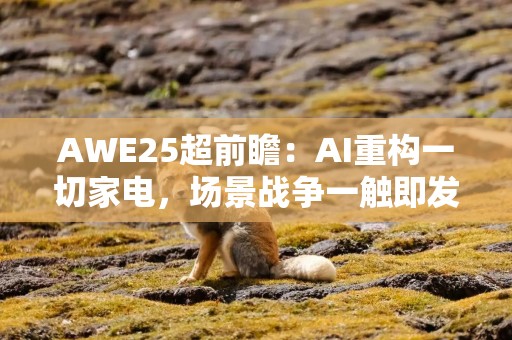 AWE25超前瞻：AI重构一切家电，场景战争一触即发