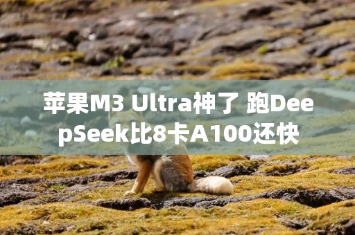 苹果M3 Ultra神了 跑DeepSeek比8卡A100还快