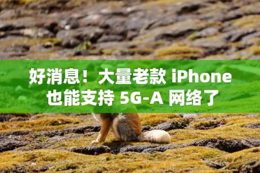 好消息！大量老款 iPhone 也能支持 5G-A 网络了