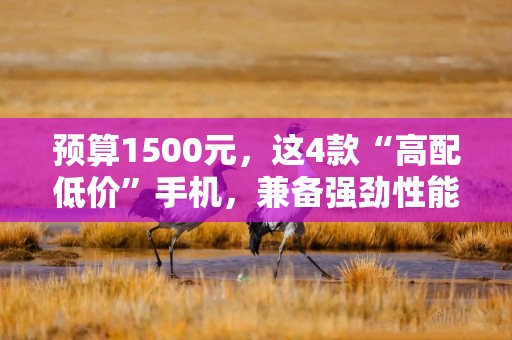 预算1500元，这4款“高配低价”手机，兼备强劲性能持久续航