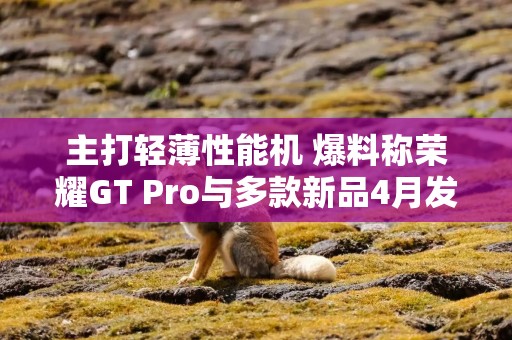 主打轻薄性能机 爆料称荣耀GT Pro与多款新品4月发，价格或是亮点