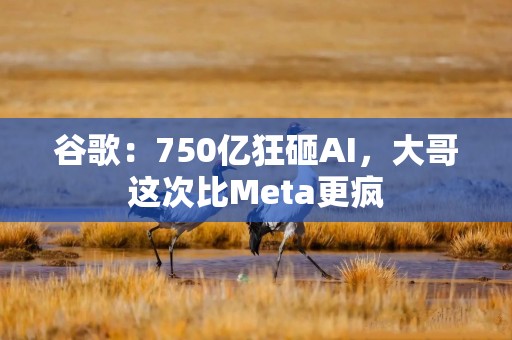 谷歌：750亿狂砸AI，大哥这次比Meta更疯