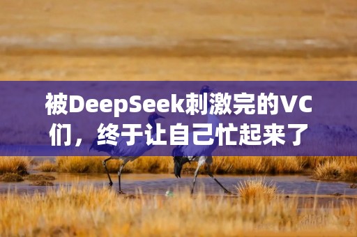 被DeepSeek刺激完的VC们，终于让自己忙起来了