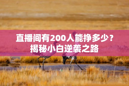 直播间有200人能挣多少？揭秘小白逆袭之路