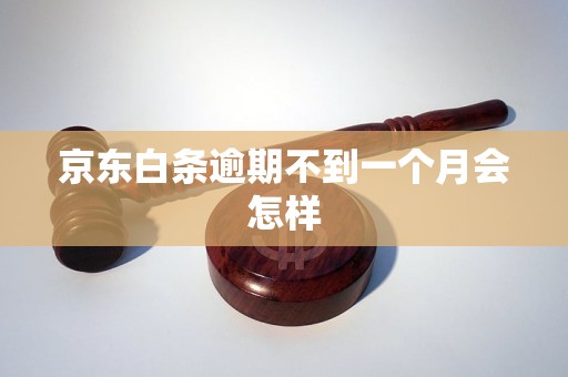 京东白条逾期不到一个月会怎样